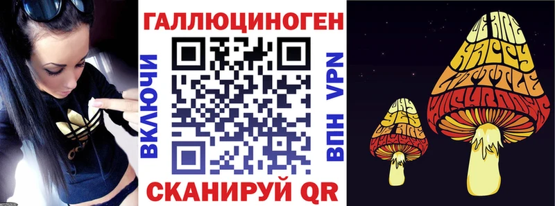 Псилоцибиновые грибы Psilocybe  Купить закладки  Строитель 
